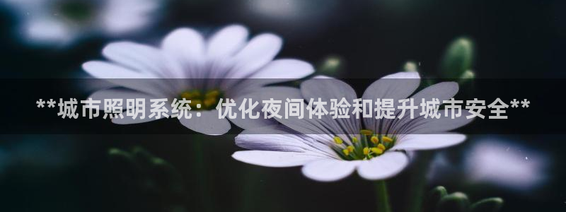 **城市照明系统:优化夜间体验和提升城市安全**