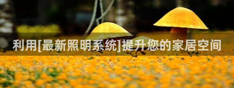 利用[最新照明系统]提升您的家居空间