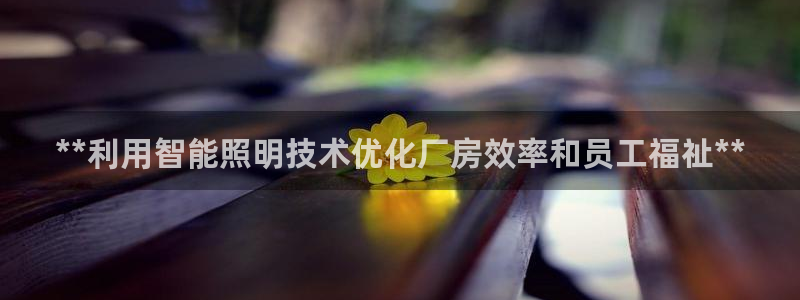 **利用智能照明技术优化厂房效率和员工福祉**