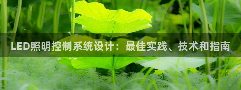 LED照明控制系统设计:最佳实践、技术和指南