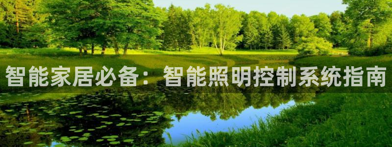 智能家居必备：智能照明控制系统指南