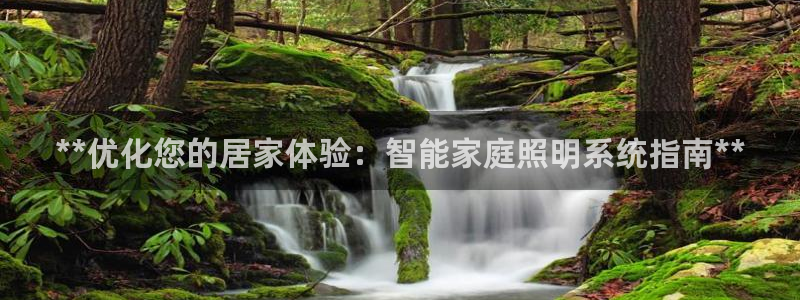 **优化您的居家体验：智能家庭照明系统指南**