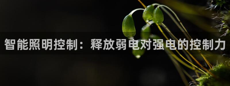 智能照明控制：释放弱电对强电的控制力
