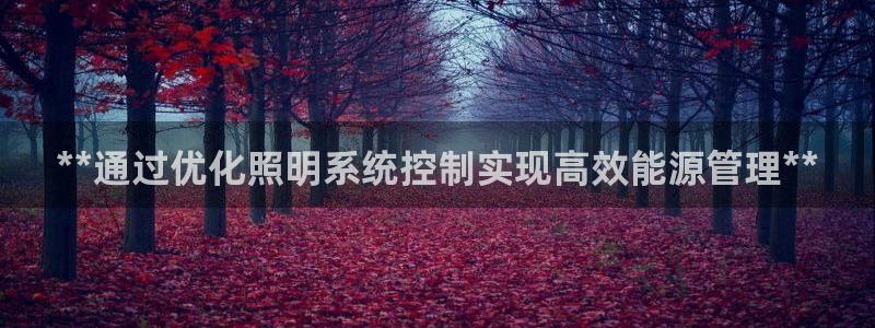 **通过优化照明系统控制实现高效能源管理**