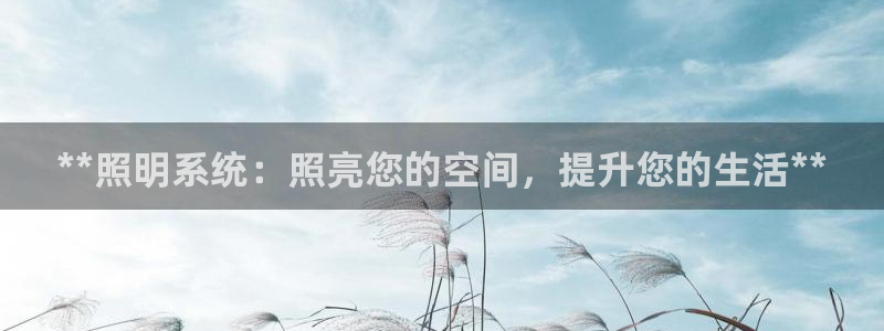 **照明系统：照亮您的空间，提升您的生活**