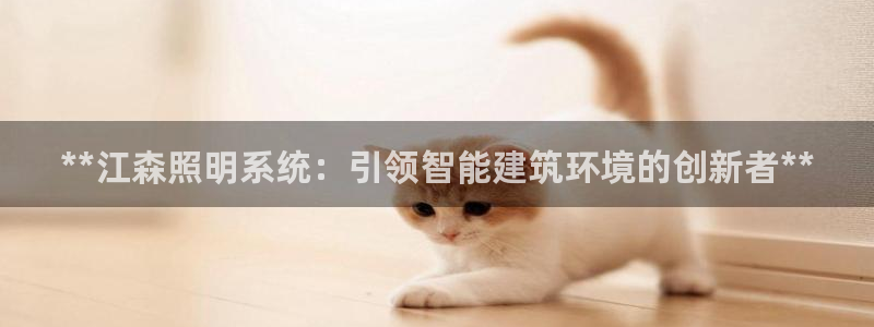 **江森照明系统：引领智能建筑环境的创新者**