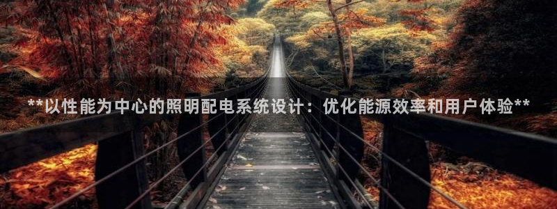 **以性能为中心的照明配电系统设计:优化能源效率和用户体验**