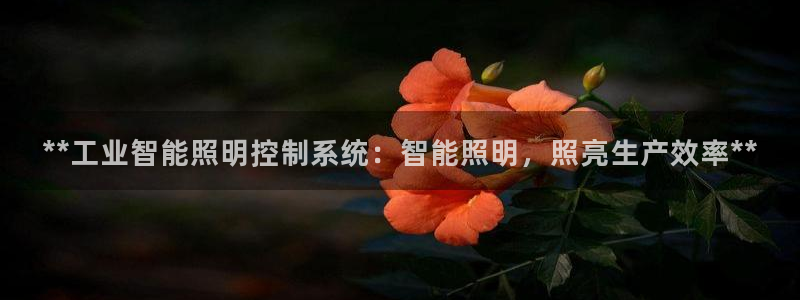 **工业智能照明控制系统：智能照明，照亮生产效率**