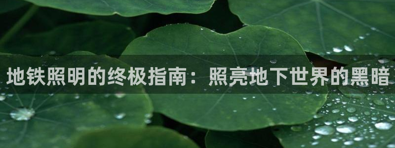 地铁照明的终极指南：照亮地下世界的黑暗