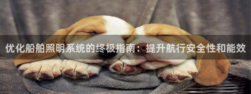 优化船舶照明系统的终极指南:提升航行安全性和能效