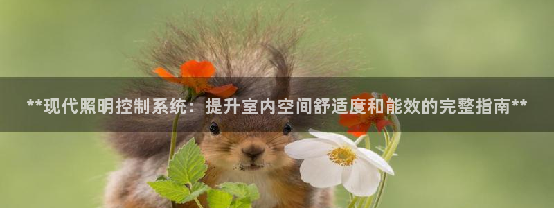 **现代照明控制系统:提升室内空间舒适度和能效的完整指南**