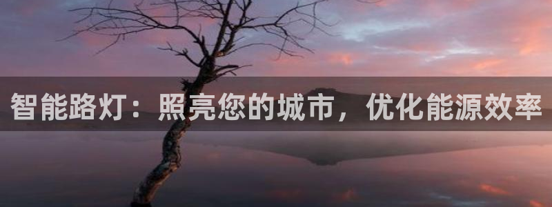 智能路灯：照亮您的城市，优化能源效率