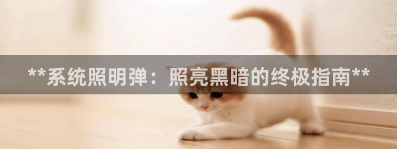 **系统照明弹：照亮黑暗的终极指南**