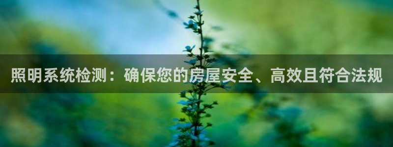 照明系统检测：确保您的房屋安全、高效且符合法规