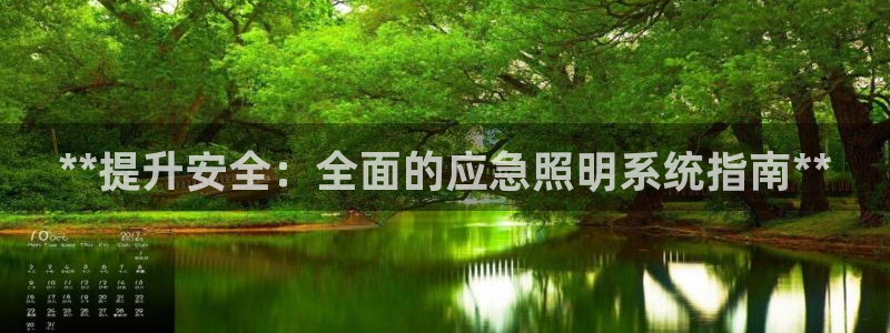 **提升安全：全面的应急照明系统指南**