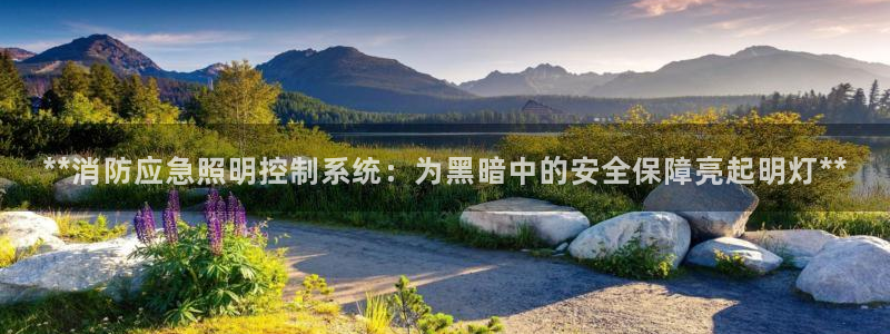 **消防应急照明控制系统：为黑暗中的安全保障亮起明灯**