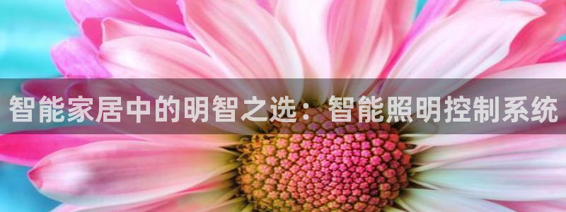 智能家居中的明智之选：智能照明控制系统