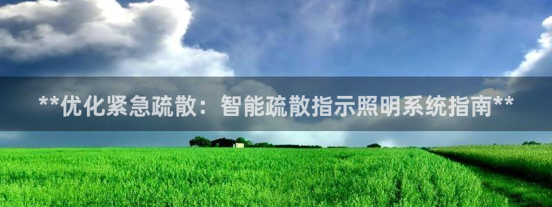 **优化紧急疏散：智能疏散指示照明系统指南**