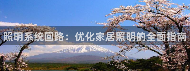 照明系统回路：优化家居照明的全面指南