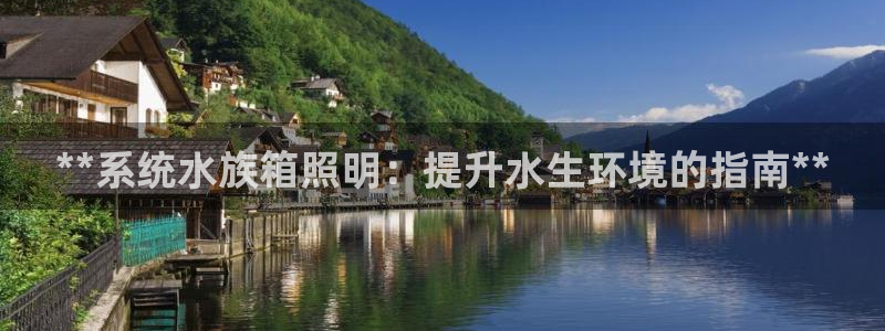 **系统水族箱照明：提升水生环境的指南**