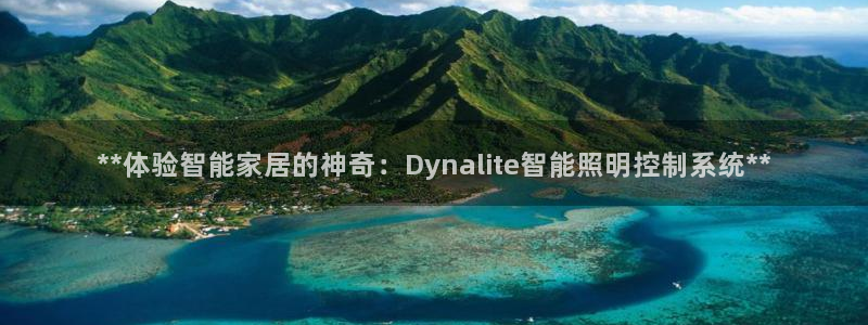**体验智能家居的神奇：Dynalite智能照明控制系统**