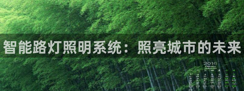 智能路灯照明系统：照亮城市的未来