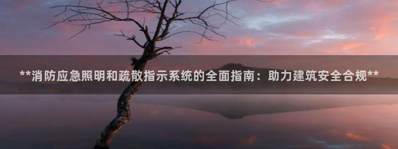 **消防应急照明和疏散指示系统的全面指南：助力建筑安全合规**