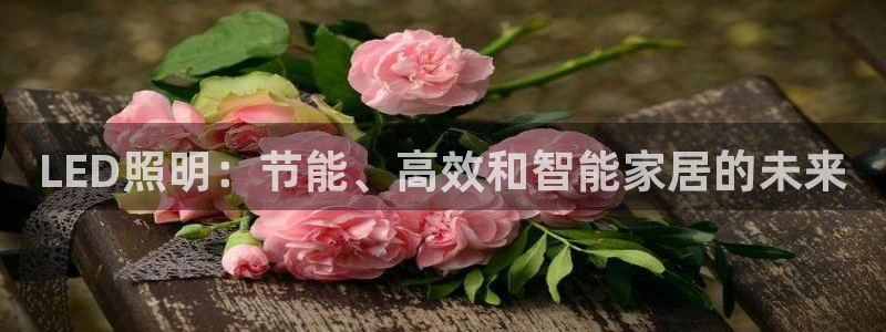 LED照明：节能、高效和智能家居的未来