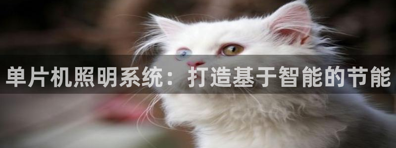 单片机照明系统：打造基于智能的节能