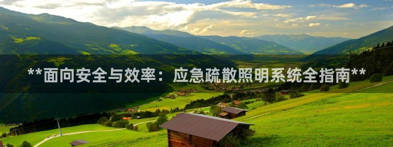 **面向安全与效率：应急疏散照明系统全指南**