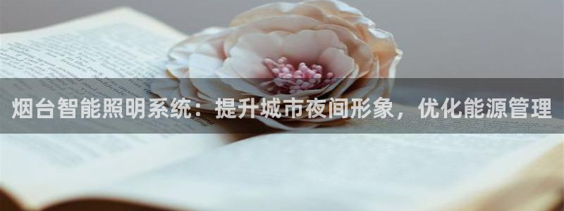 烟台智能照明系统：提升城市夜间形象，优化能源管理