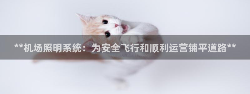 **机场照明系统：为安全飞行和顺利运营铺平道路**