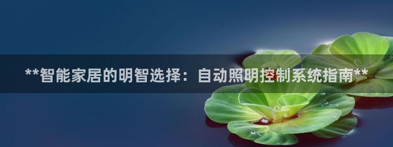**智能家居的明智选择：自动照明控制系统指南**