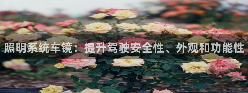 照明系统车镜：提升驾驶安全性、外观和功能性