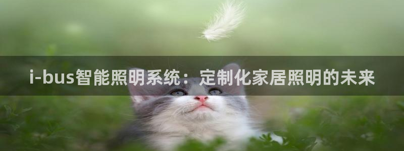 i-bus智能照明系统：定制化家居照明的未来