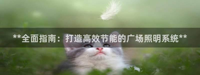 **全面指南：打造高效节能的广场照明系统**