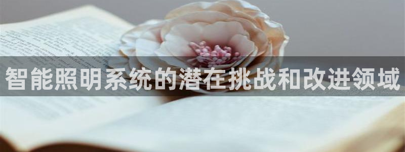 智能照明系统的潜在挑战和改进领域