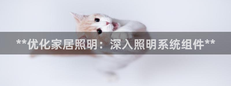 **优化家居照明：深入照明系统组件**