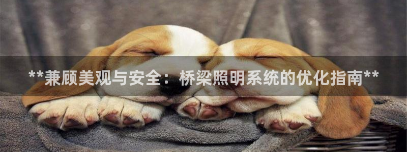 **兼顾美观与安全：桥梁照明系统的优化指南**