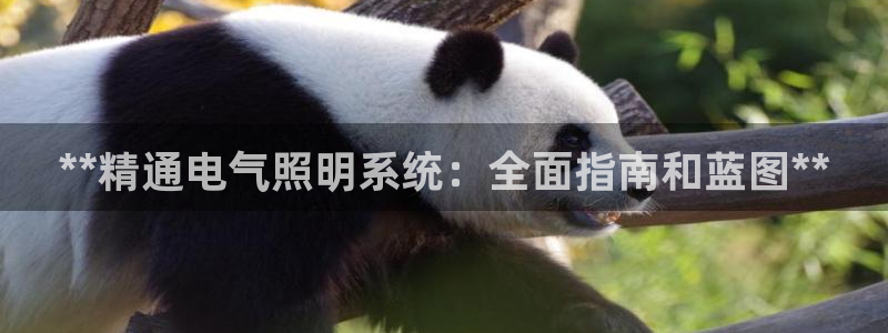 **精通电气照明系统：全面指南和蓝图**