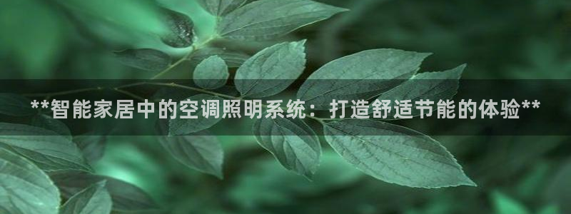 **智能家居中的空调照明系统：打造舒适节能的体验**