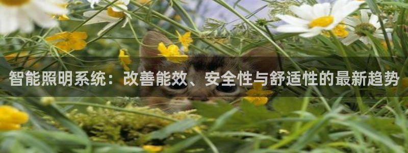 智能照明系统：改善能效、安全性与舒适性的最新趋势