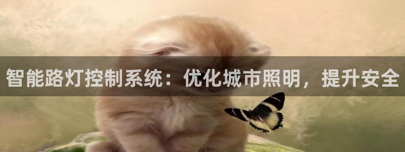 智能路灯控制系统：优化城市照明，提升安全