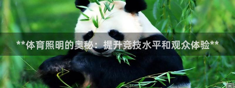 **体育照明的奥秘:提升竞技水平和观众体验**