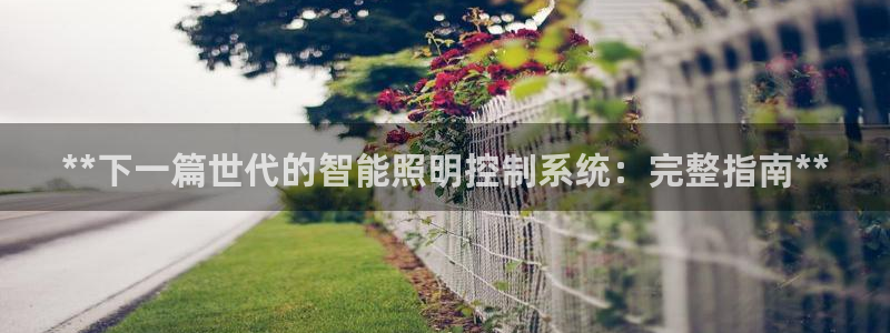 **下一篇世代的智能照明控制系统：完整指南**