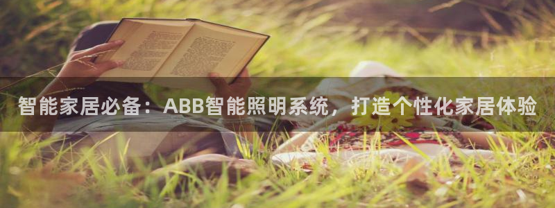 智能家居必备：ABB智能照明系统，打造个性化家居体验