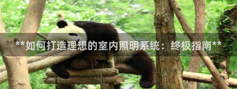 **如何打造理想的室内照明系统：终极指南**