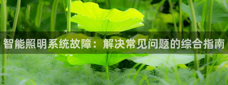 智能照明系统故障：解决常见问题的综合指南