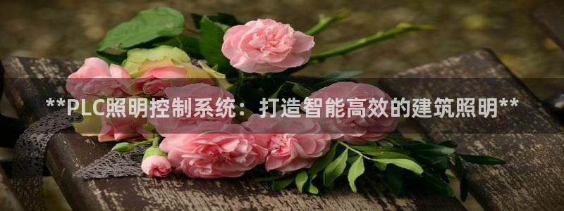 **PLC照明控制系统：打造智能高效的建筑照明**