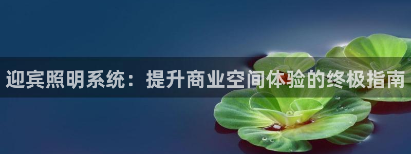 迎宾照明系统：提升商业空间体验的终极指南